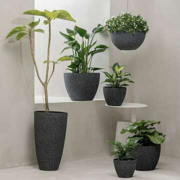 Hanging Planters - 10 Inch Black Pots - Set of 2