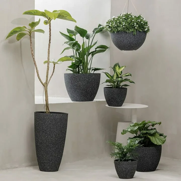 Hanging Planters - 10 Inch Black Pots - Set of 2