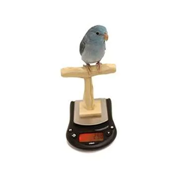 Mini NU Perch Scale for Small Birds and Parakeets