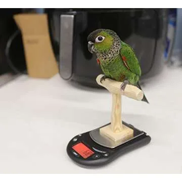 Mini NU Perch Scale for Small Birds and Parakeets