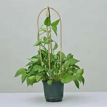 10 Pack, Handmade 24 in. Bamboo U Trellis Hoop Stakes for Garden, 2ft Bamboo U Shaped Trellis for Potted Plants Climbing