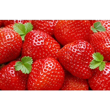 25 Sweet Charlie Strawberry Plants - Easy to Grow and Delicious