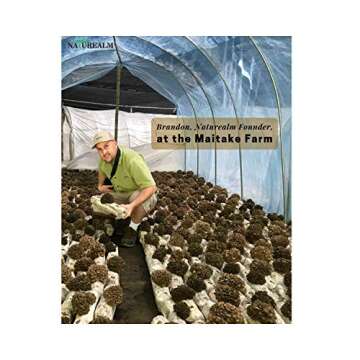 Lion’s Mane Mushroom 8:1 Extract Powder - Natural Nootropic Supplement - Focus, Creativity, Memory - 100% Whole Mushrooms - USDA Certified Organic - 2oz. (57g)