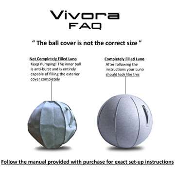 Vivora Luno Exercise Ball Chair for Home Offices and Fitness