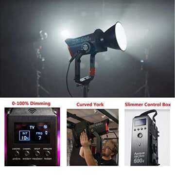 Aputure LS 600D 600W Daylight LED Video Light with App Control