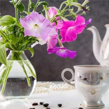 AeroGarden Cascading Petunias Seed pod Kit for AeroGarden Hydroponic Indoor Garden, 6-Pod