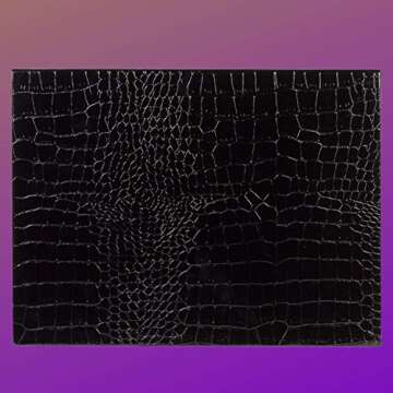 Adept Cosmetics Extra Large (XL) 63 Pan Empty Faux Leather Magnetic Pro Makeup Palette for Eyeshadow Singles, holds up to 63 standard single round eyeshadows