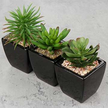 Hollyone Small Faux Succulents in Black Pots for Home Decor