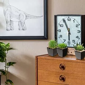 Hollyone Small Faux Succulents in Black Pots for Home Decor