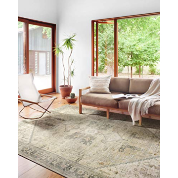 Stylish Loloi II Skye Collection Area Rug for All Spaces