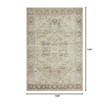 Stylish Loloi II Skye Collection Area Rug for All Spaces