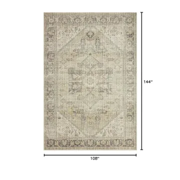 Stylish Loloi II Skye Collection Area Rug for All Spaces