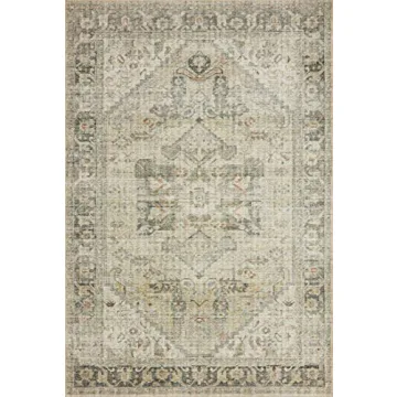 Stylish Loloi II Skye Collection Area Rug for All Spaces