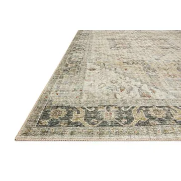 Stylish Loloi II Skye Collection Area Rug for All Spaces