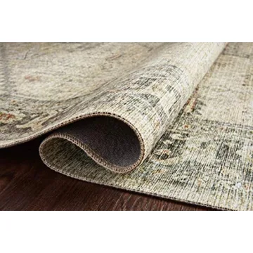 Stylish Loloi II Skye Collection Area Rug for All Spaces