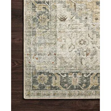 Stylish Loloi II Skye Collection Area Rug for All Spaces