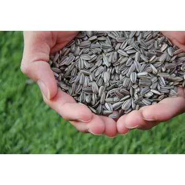 Rex Products Black Oil Sunflower Seed 4LB for Birds