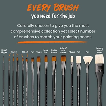 Professional Paint Brushes for Artists 15 Piece Set