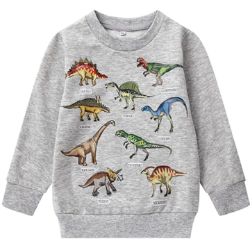 Akyzic Baby Boys Dinosaur Sweatshirt Fleece Long Sleeve Crewneck Toddler Kids Dino Shirt Warm Sweate...