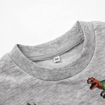 Cozy Akyzic Boys Dinosaur Sweatshirt for Ages 1-8