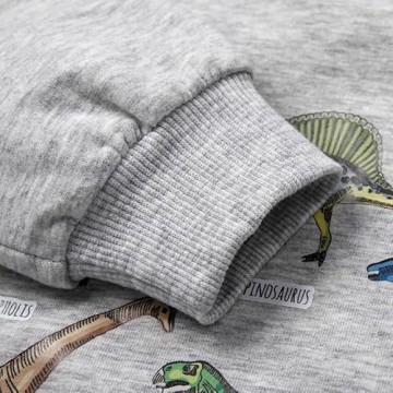 Cozy Akyzic Boys Dinosaur Sweatshirt for Ages 1-8
