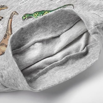 Cozy Akyzic Boys Dinosaur Sweatshirt for Ages 1-8