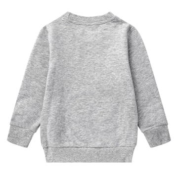 Cozy Akyzic Boys Dinosaur Sweatshirt for Ages 1-8