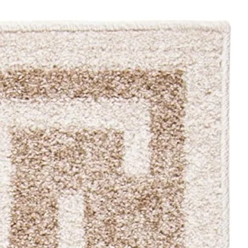 Stylish SAFAVIEH Amherst Area Rug - Stain Resistant & Easy Care