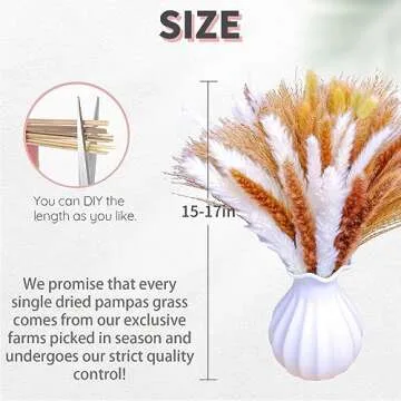 Osheng Natural Pampas Grass Decor Boho Home Decor Mix Bouquet Dried Flowers for Table Decor Wedding Floral Arrangements Rustic Decor 75pcs