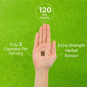 DEAL SUPPLEMENT St. John's Wort 1000mg 240 Capsules