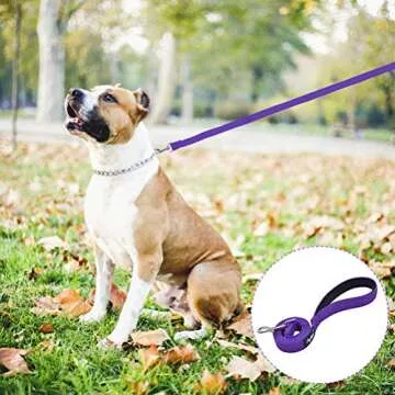 PUPTECK Reflective Dog Leash with Comfortable Padded Handle Durable Nylon Dog Lead for Small Medium and Large Dogs Cats Walking Running Training Outside, Purple, M