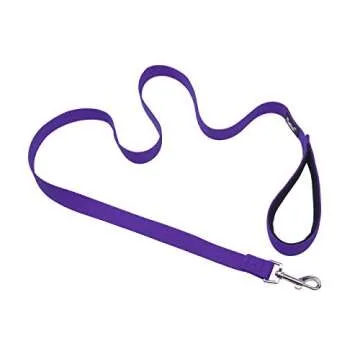PUPTECK Reflective Dog Leash with Comfortable Padded Handle Durable Nylon Dog Lead for Small Medium and Large Dogs Cats Walking Running Training Outside, Purple, M