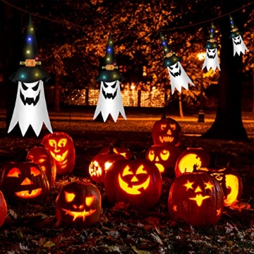 Shearly Outdoor Halloween Decor with Glowing Witch Hats