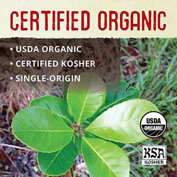 ECOTEAS Unsmoked Yerba Mate Tea Bags - Organic Energy Boost