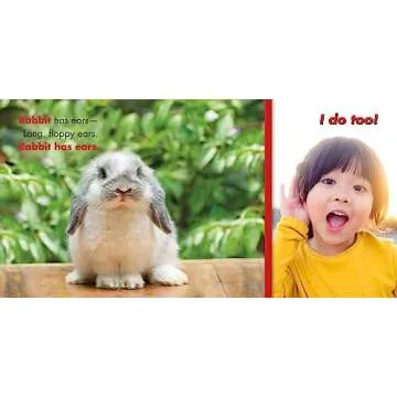 Bear Has a Belly (Big, Little Concepts, 5)