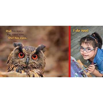 Bear Has a Belly (Big, Little Concepts, 5)