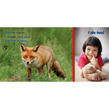 Bear Has a Belly (Big, Little Concepts, 5)