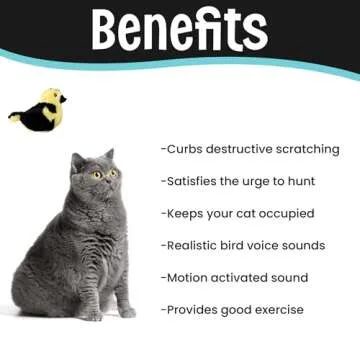 SPOT Song Birds Cat Toys - Touch Activated Singing Catnip Toy Mimics Real Bird Songs, Battery Operated Toy Satisfies Cat's Natural Urge to Hunt - One 5" Song Bird, Assorted Colors