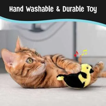 SPOT Song Birds Cat Toys - Touch Activated Singing Catnip Toy Mimics Real Bird Songs, Battery Operated Toy Satisfies Cat's Natural Urge to Hunt - One 5" Song Bird, Assorted Colors