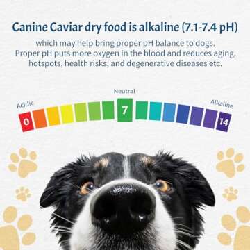 Canine Caviar - Open Meadow: Lamb & Pearl Millet Alkaline Dry Dog Food, Limited Ingredients, Gluten-Free, Based on Science & Research, Veterinary Alternative Diet (11 Pound Bag)