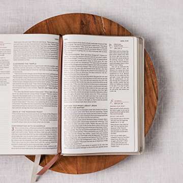 NET, Abide Bible, Leathersoft, Stone, Comfort Print: Holy Bible
