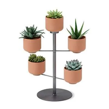 Umbra Terrapotta Tabletop Planter for Stylish Decor