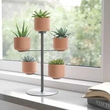 Umbra Terrapotta Tabletop Planter for Stylish Decor