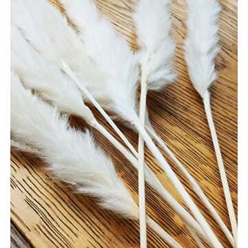 EZDC 30 Stems Cream White Pampas Grass, 17” Pampas Grass Decor, Dried Pampas Grass Plants for Rustic, Boho Decor, Home Decor as Plant Room Decor