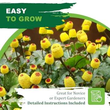 TKE Farms & Gardens - Toothache Plant Seeds for Planting, 1000 Non-GMO Heirloom Buzz Button Seeds, E...