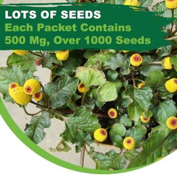 TKE Farms & Gardens - Toothache Plant Seeds for Planting, 1000 Non-GMO Heirloom Buzz Button Seeds, Electric Daisy, Szechuan Button, Includes Easy Growing Instructions, 250mg Packet, Qty 1