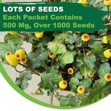 TKE Farms & Gardens - Toothache Plant Seeds for Planting, 1000 Non-GMO Heirloom Buzz Button Seeds, Electric Daisy, Szechuan Button, Includes Easy Growing Instructions, 250mg Packet, Qty 1
