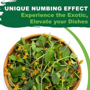 TKE Farms & Gardens - Toothache Plant Seeds for Planting, 1000 Non-GMO Heirloom Buzz Button Seeds, Electric Daisy, Szechuan Button, Includes Easy Growing Instructions, 250mg Packet, Qty 1