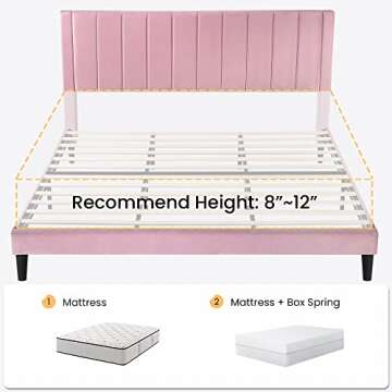 SHA CERLIN Velvet Full Bed Frame with Headboard for Comfort