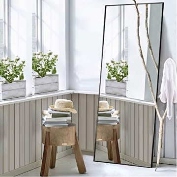 NeuType Full Length Elegant Mirror for Any Environment